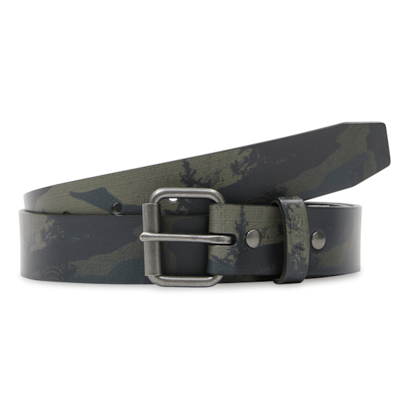 BELTS