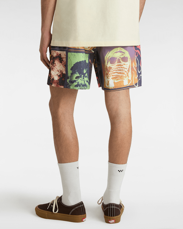 Vans - Primary Crazy Print Boardshorts, Man, Blue, Size: M (obrázek 4)