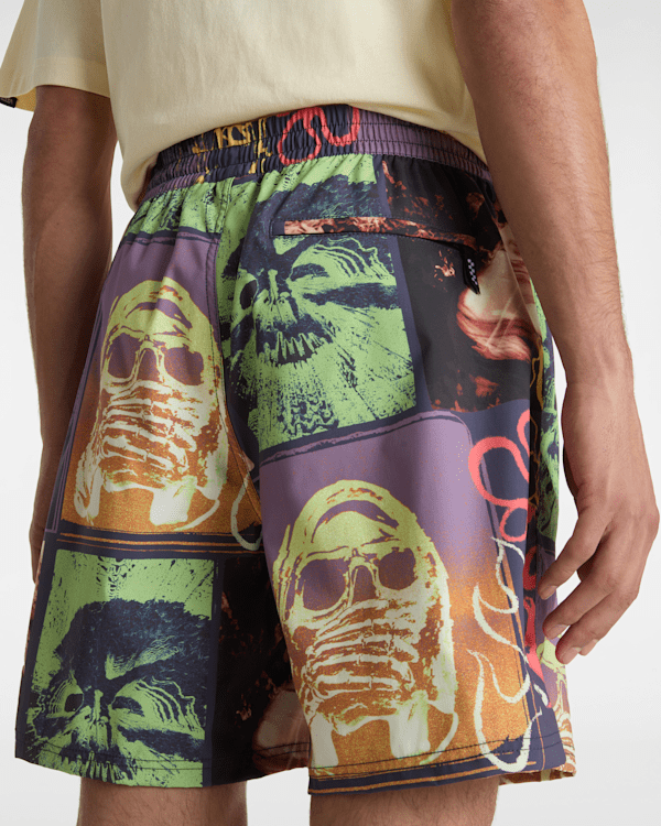 Vans - Primary Crazy Print Boardshorts, Man, Blue, Size: M (obrázek 8)