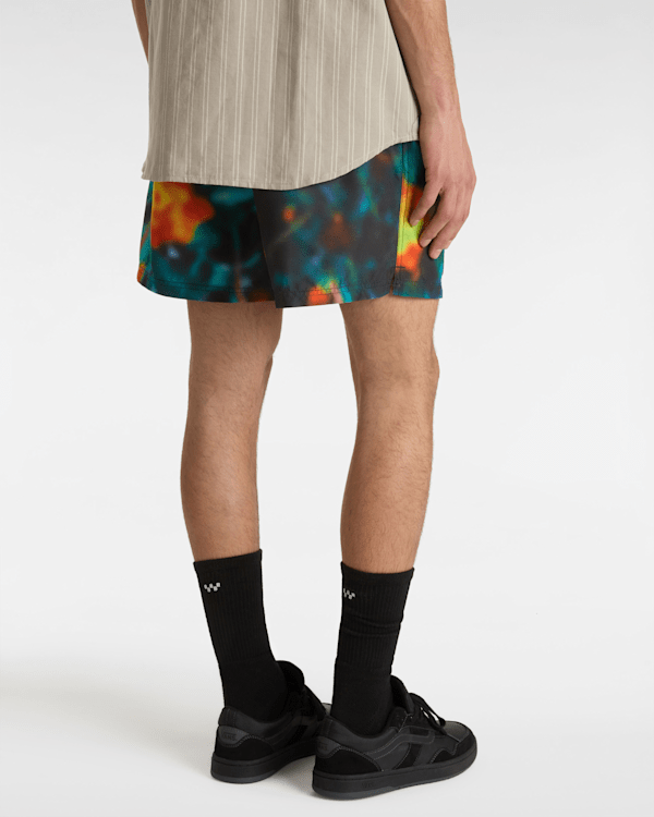 Vans - Primary Print Boardshort, Man, Black, Size: XS (obrázek 4)