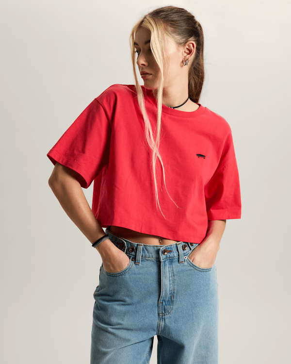 Vans - W SALTON RELAX CROP T-Shirt, Woman, Pink, Size: M (obrázek 3)