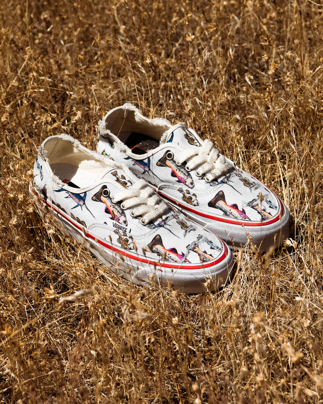 White VANSZA Authentic Kickdown shoes with colourful fish illustrations resting in golden grass