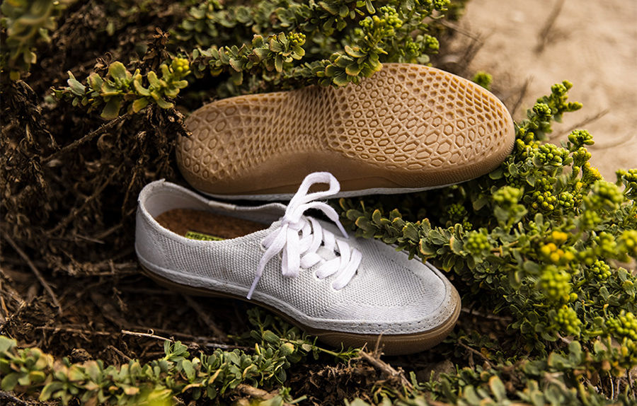How To Clean Vans Shoes