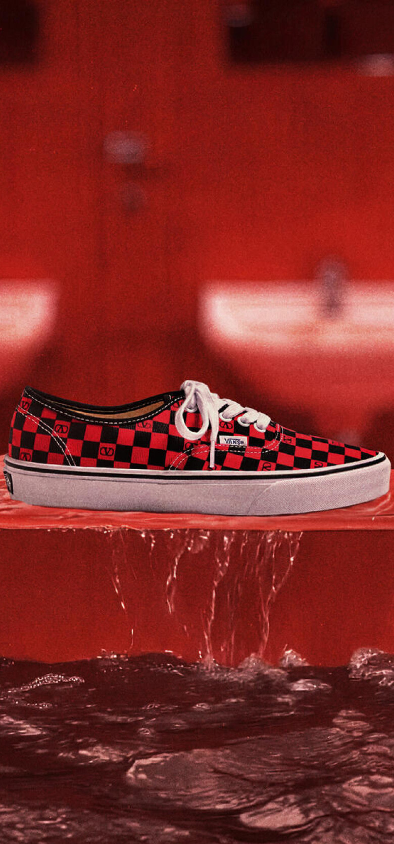 Valentino Garavani and Vans 
