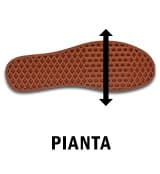 Pianta