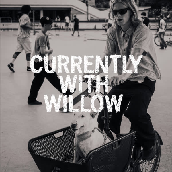 Aktuell mit Willow Voges Fernandes