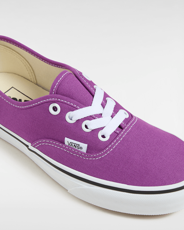 Authentic Shoes in Purple| Vans DK