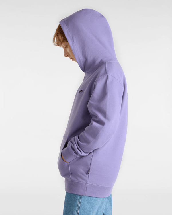 Kids Salton Pullover Hoodie (8-14 Years) in Purple| Vans CZ