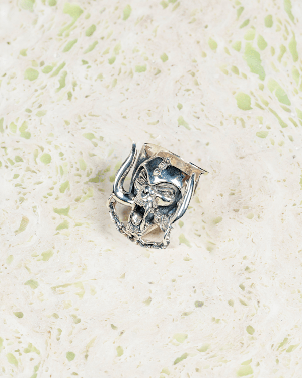 The Frog Motorhead Ring in Grey| Vans UK