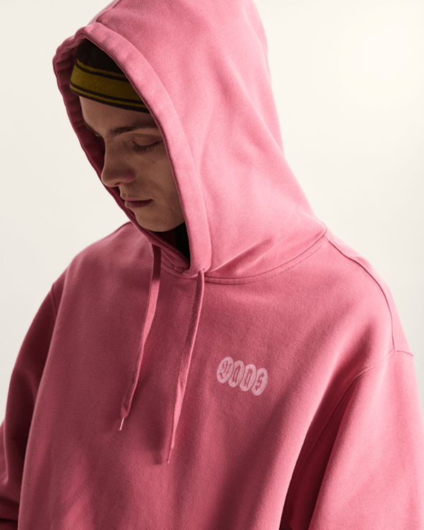 Earthbound Pullover Hoodie in Pink| Vans SE