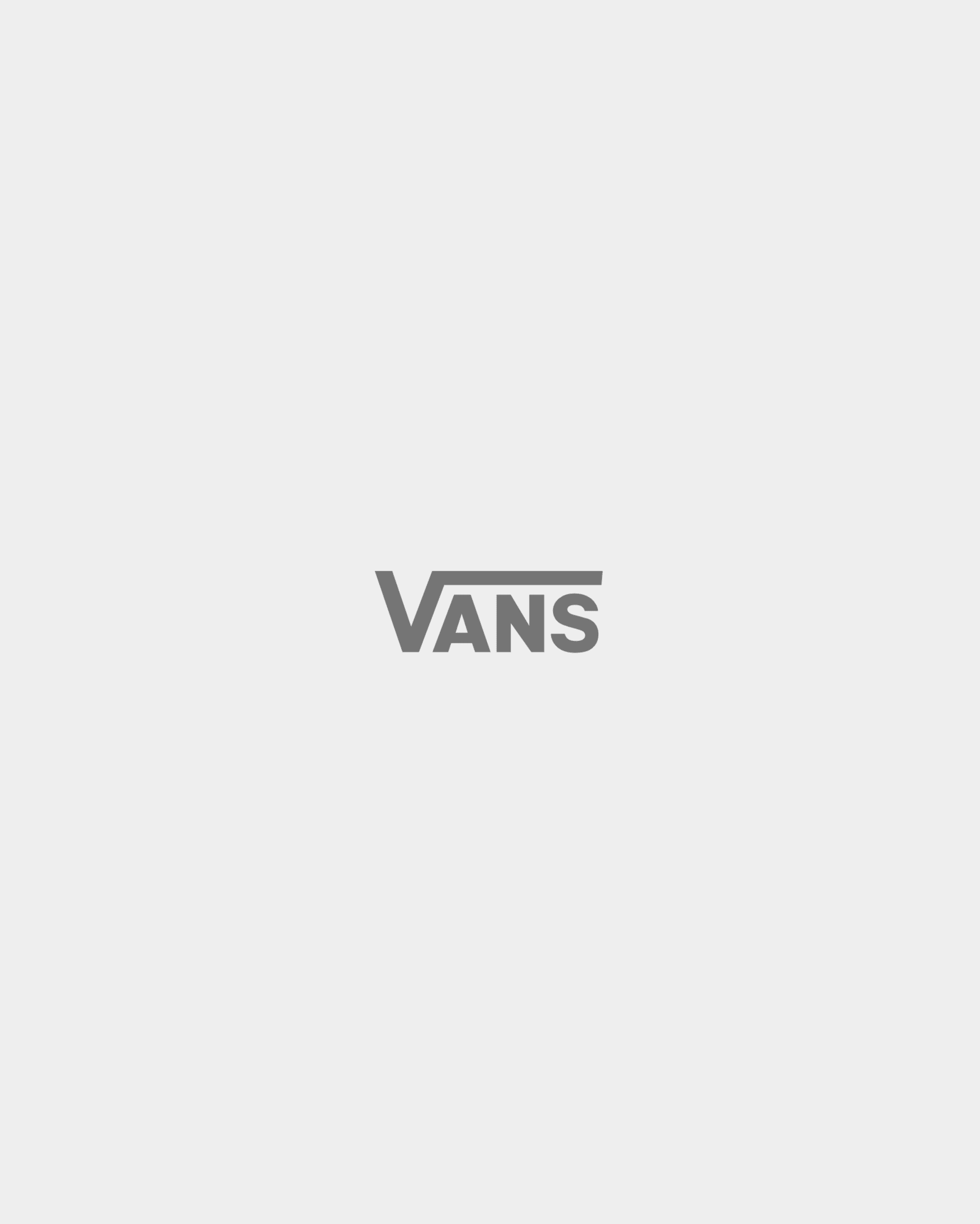 Sex Pistols Vicious SS Tee White VANS Blanc hero