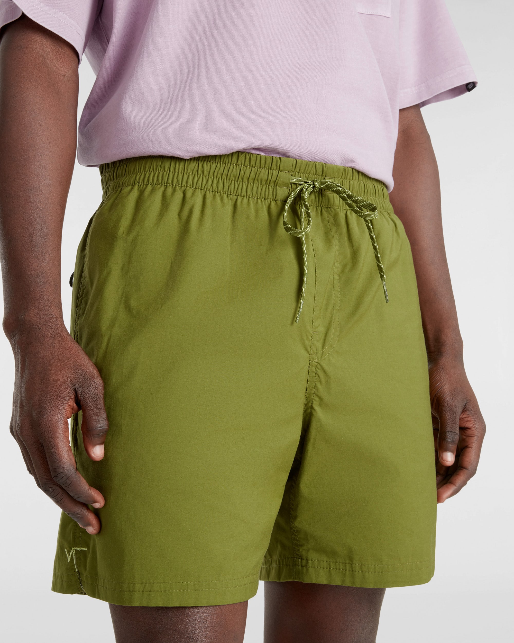 Primary Solid Elastic Boardshorts VANS Grn ALT5