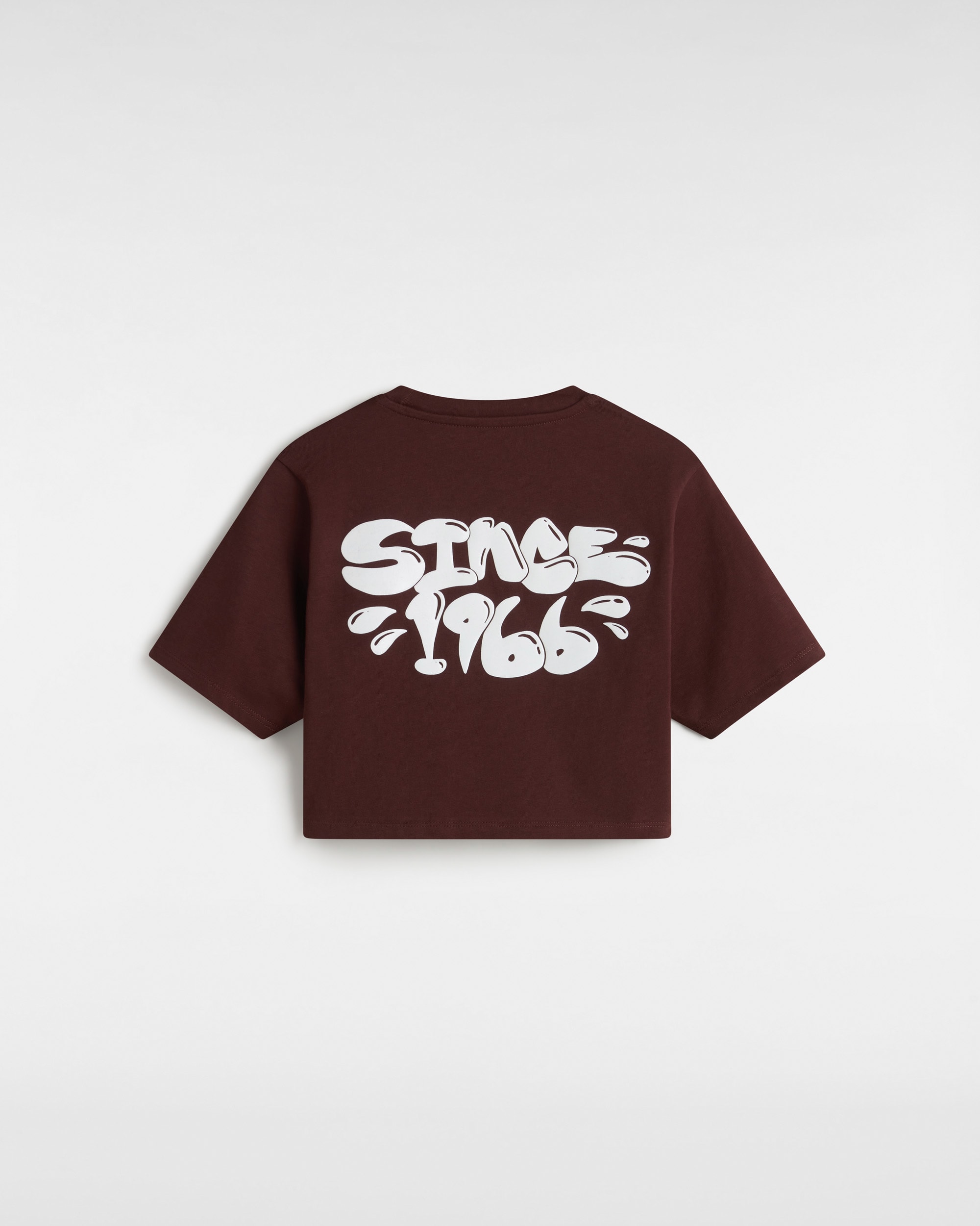 Maglietta corta girocollo Busted Type VANS Marrone ALT1