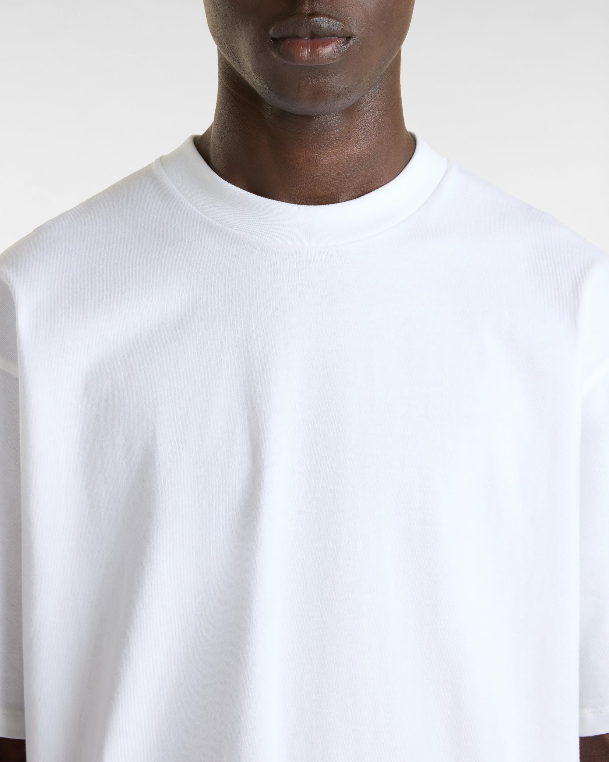 Original Standards TShirt VANS Wei ALT5