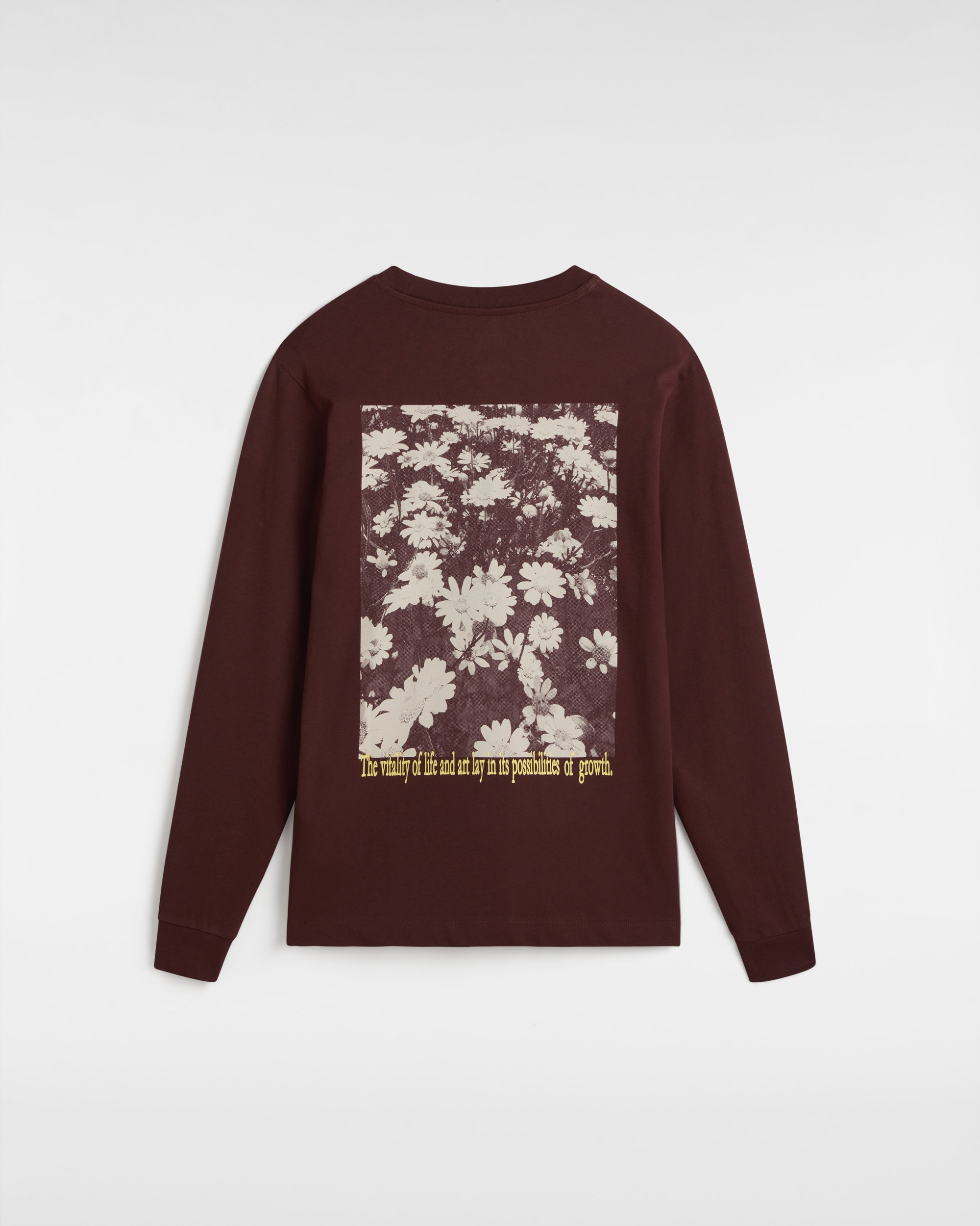 Tshirt  manches longues Vitality Fields VANS Marron ALT1