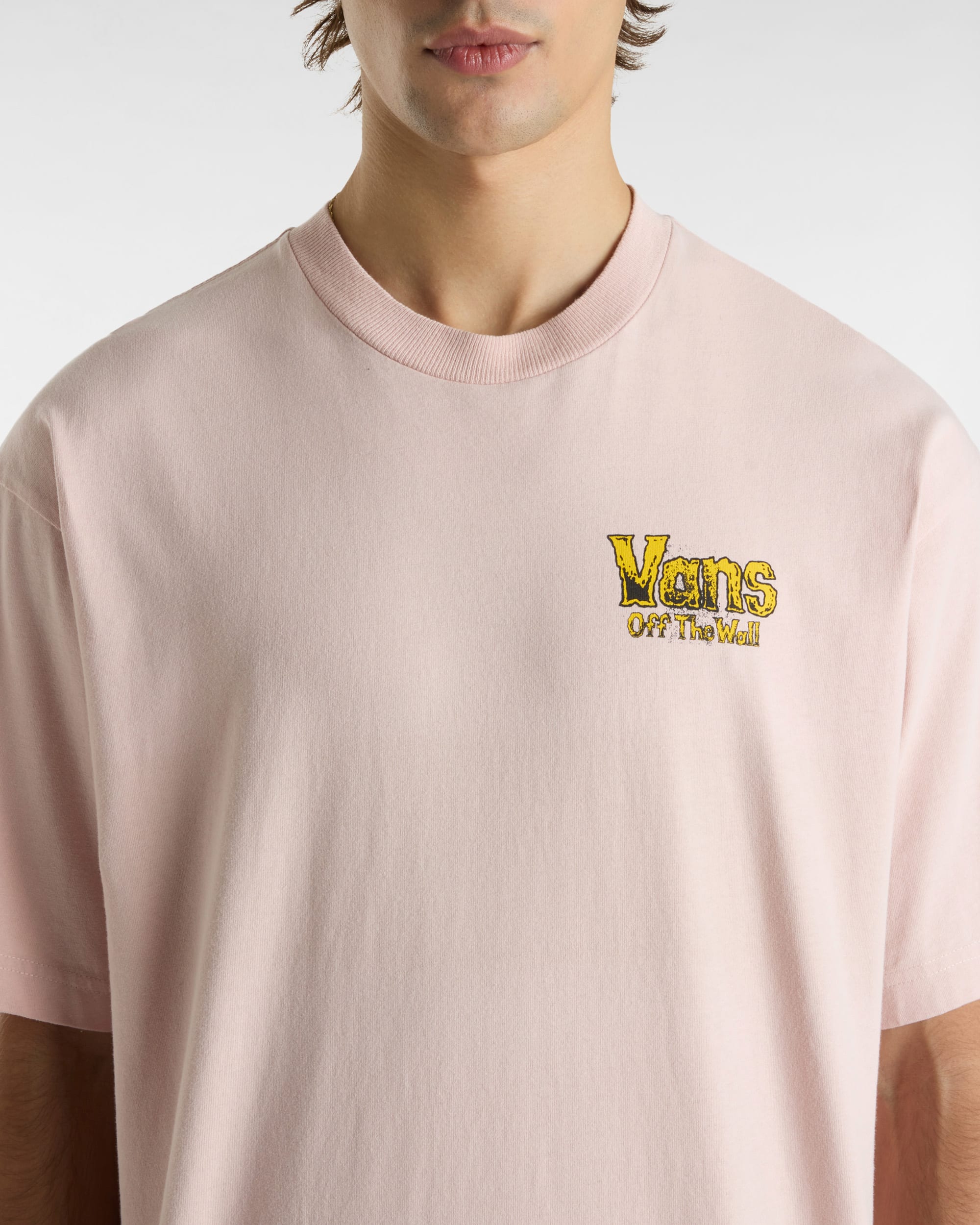 Tshirt Legacy VANS Rose ALT5