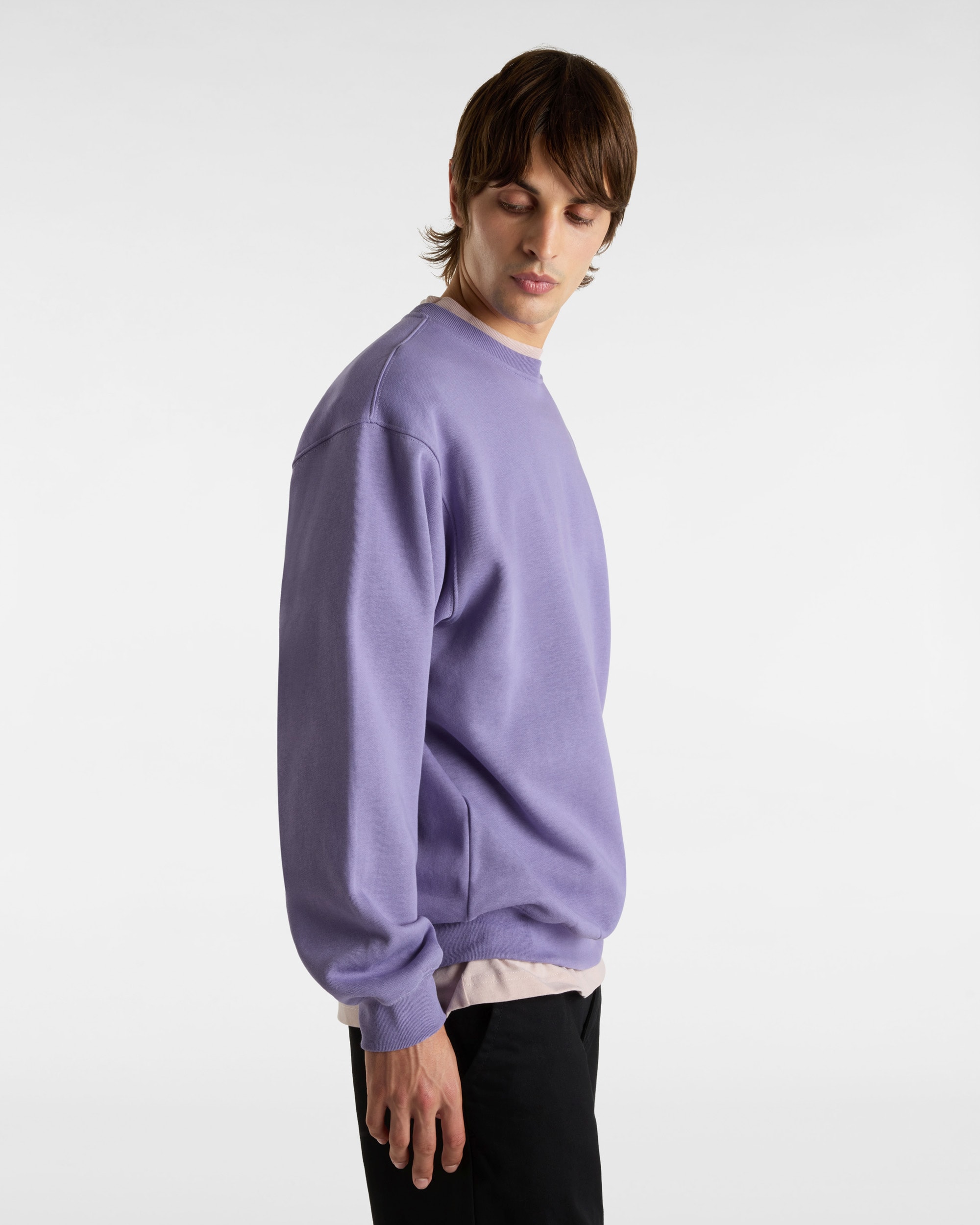 Left Chest II Logo Sweatshirt VANS Purple ALT6