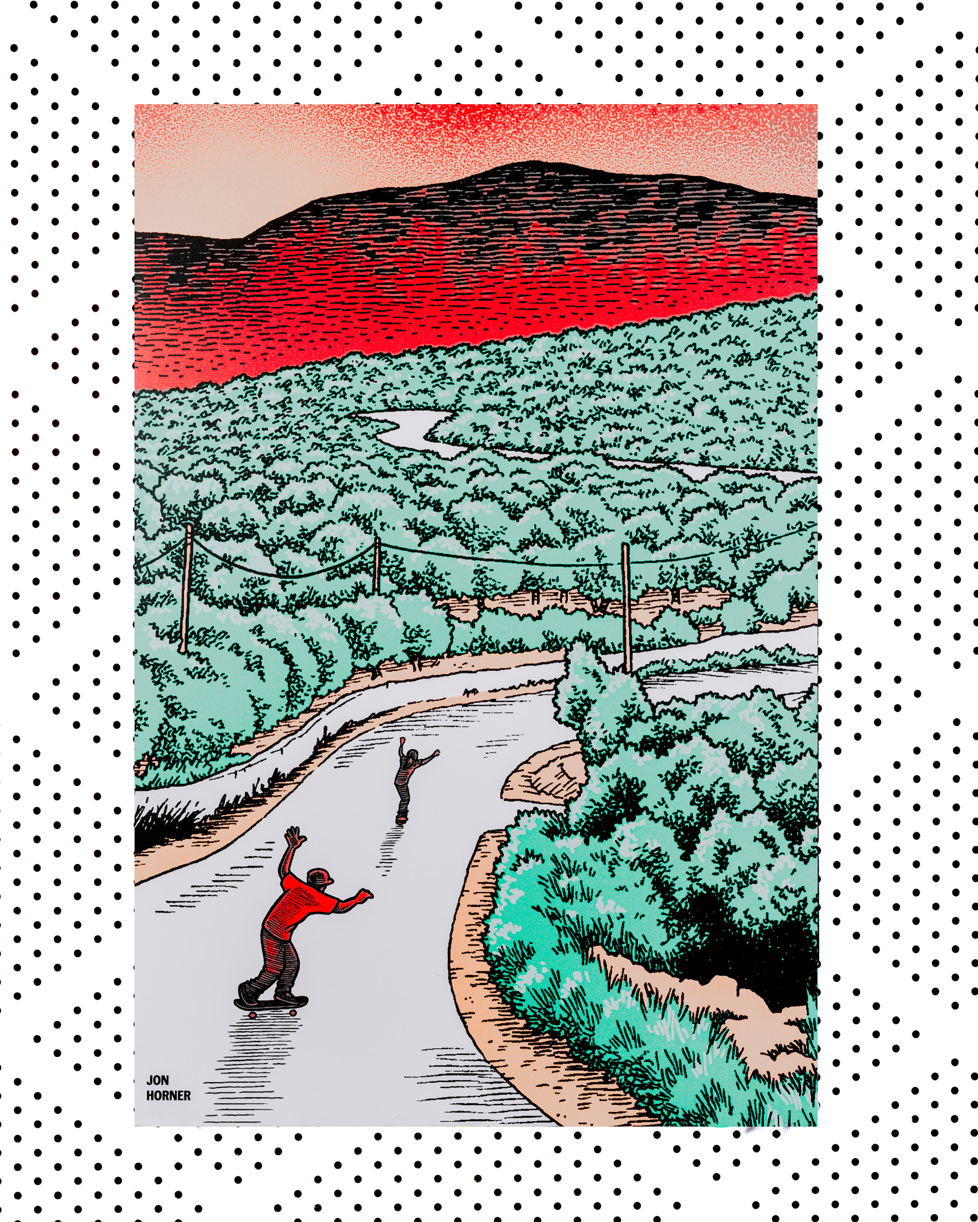 Skate Deck  jon Horner VANS Multicolour HERO - 2