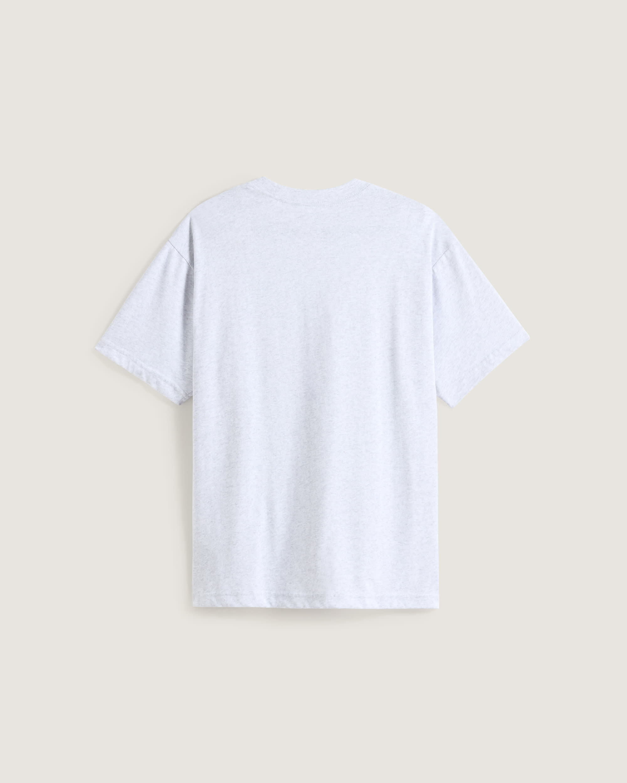 Lockeres Salton TShirt VANS Grau ALT1