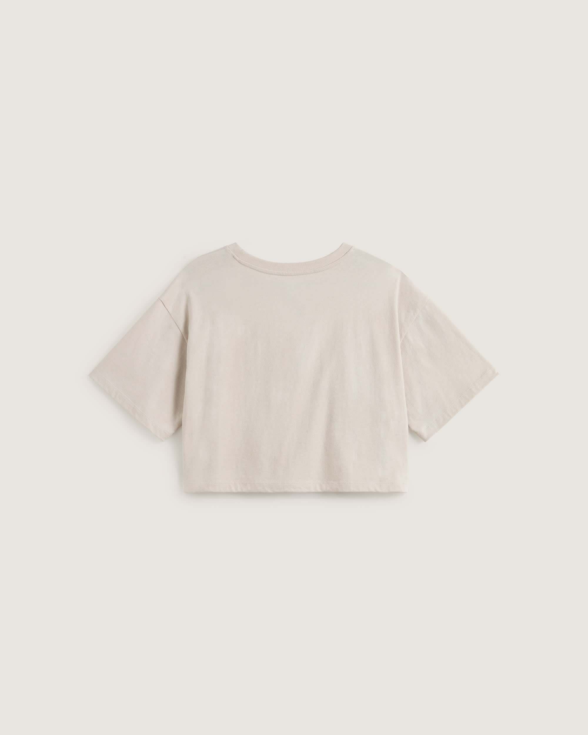 Afterburn Crop TShirt VANS Beige ALT1