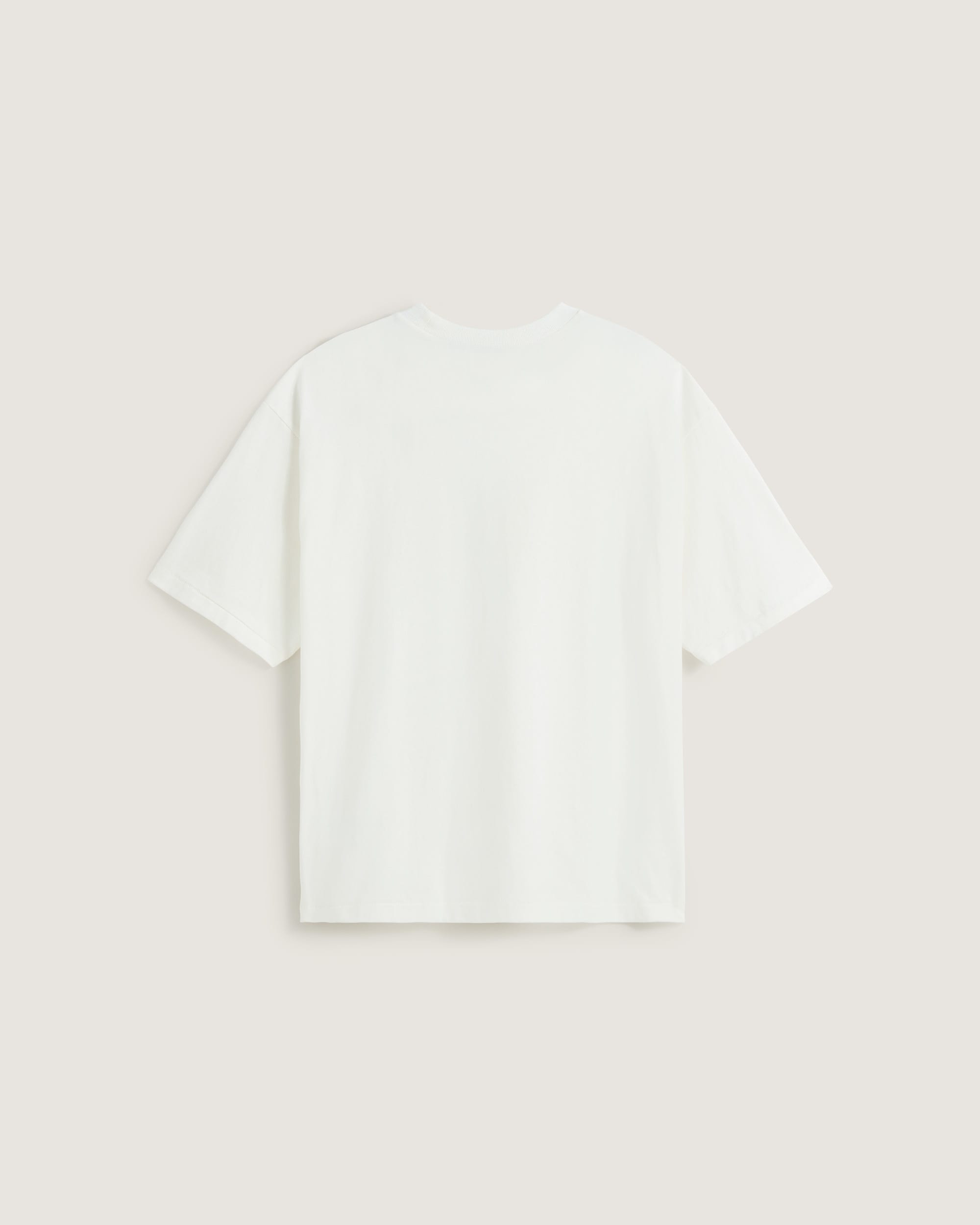 Raw Instinct TShirt VANS Wei ALT1