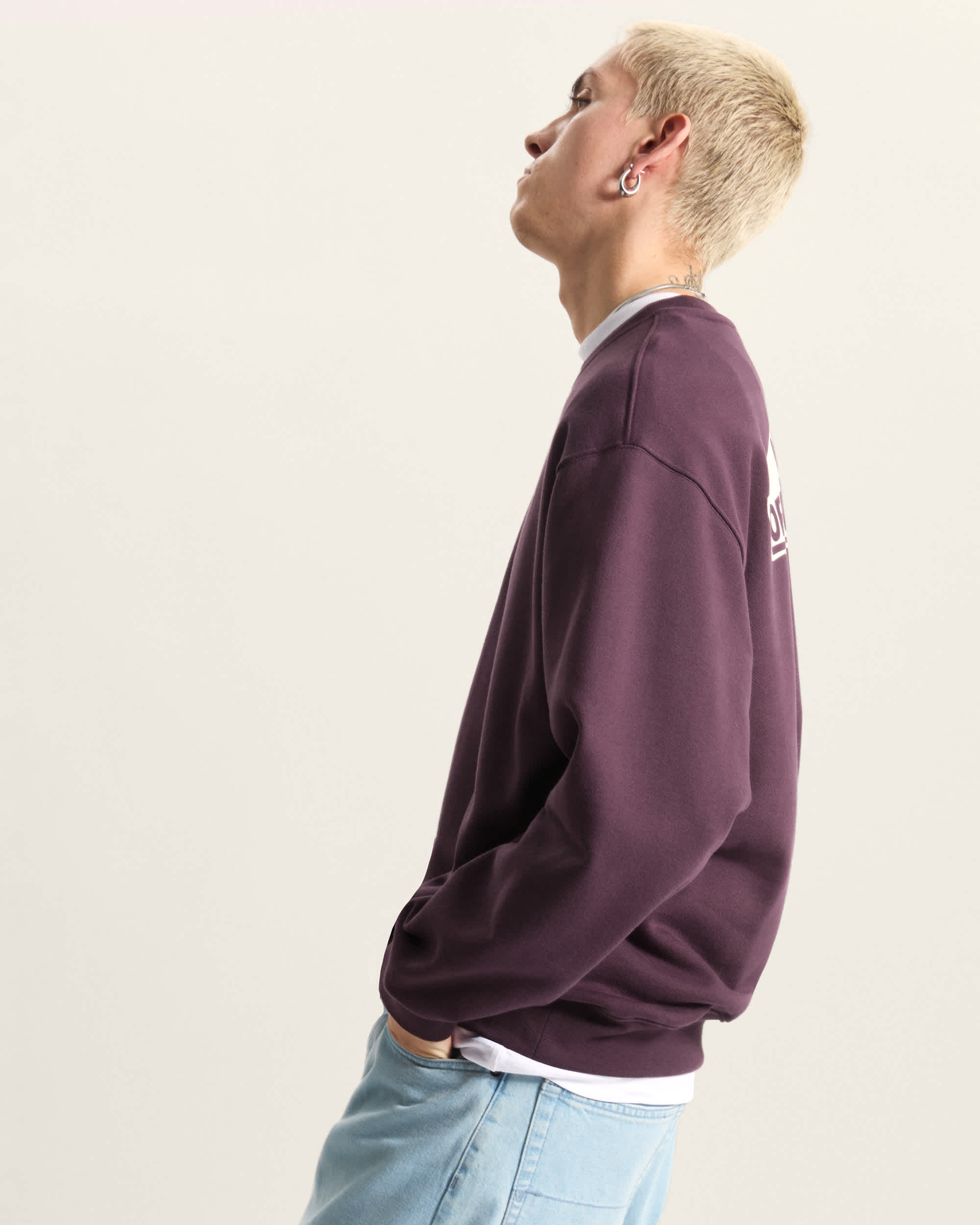 Style 76 Loose Fit RundhalsSweatshirt VANS Blau ALT4