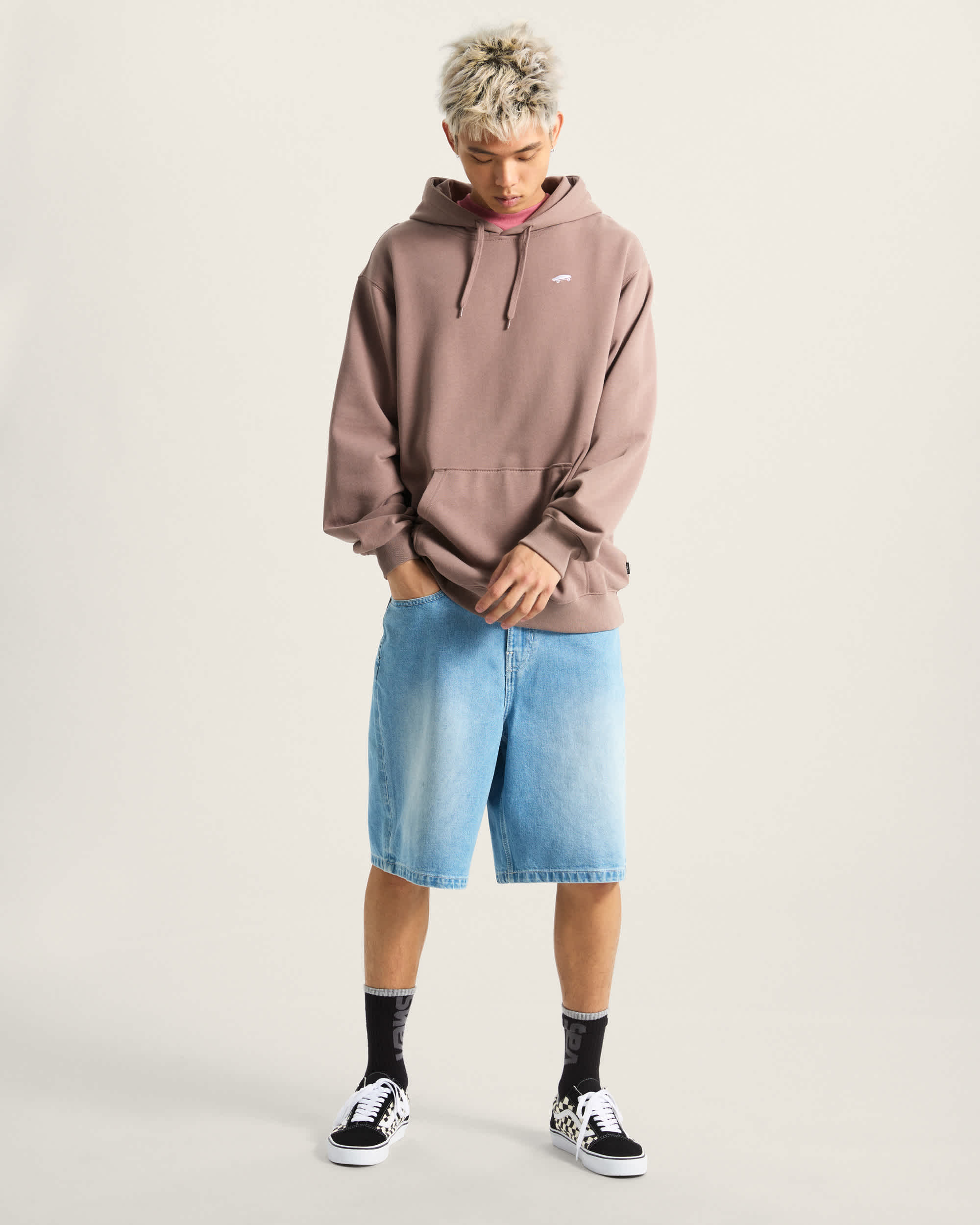 Salton Loose Hoodie VANS Braun ALT4