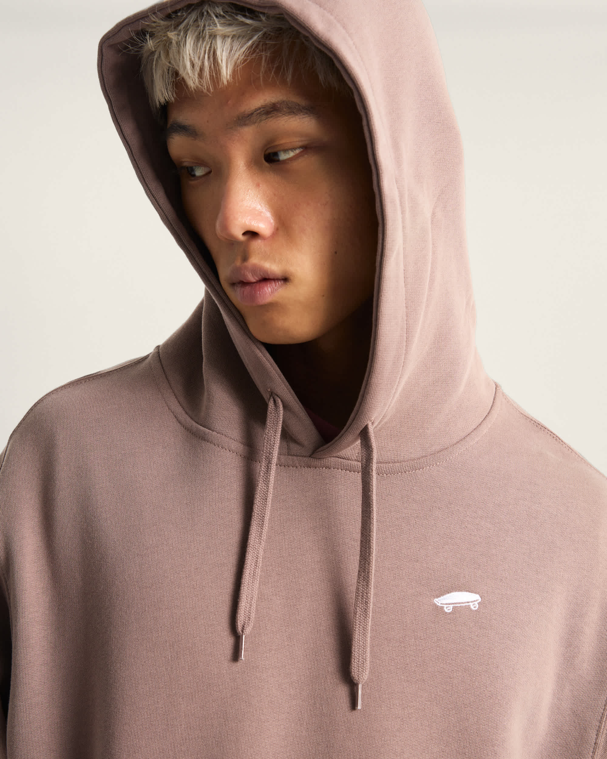 Salton Loose Hoodie VANS Braun ALT5