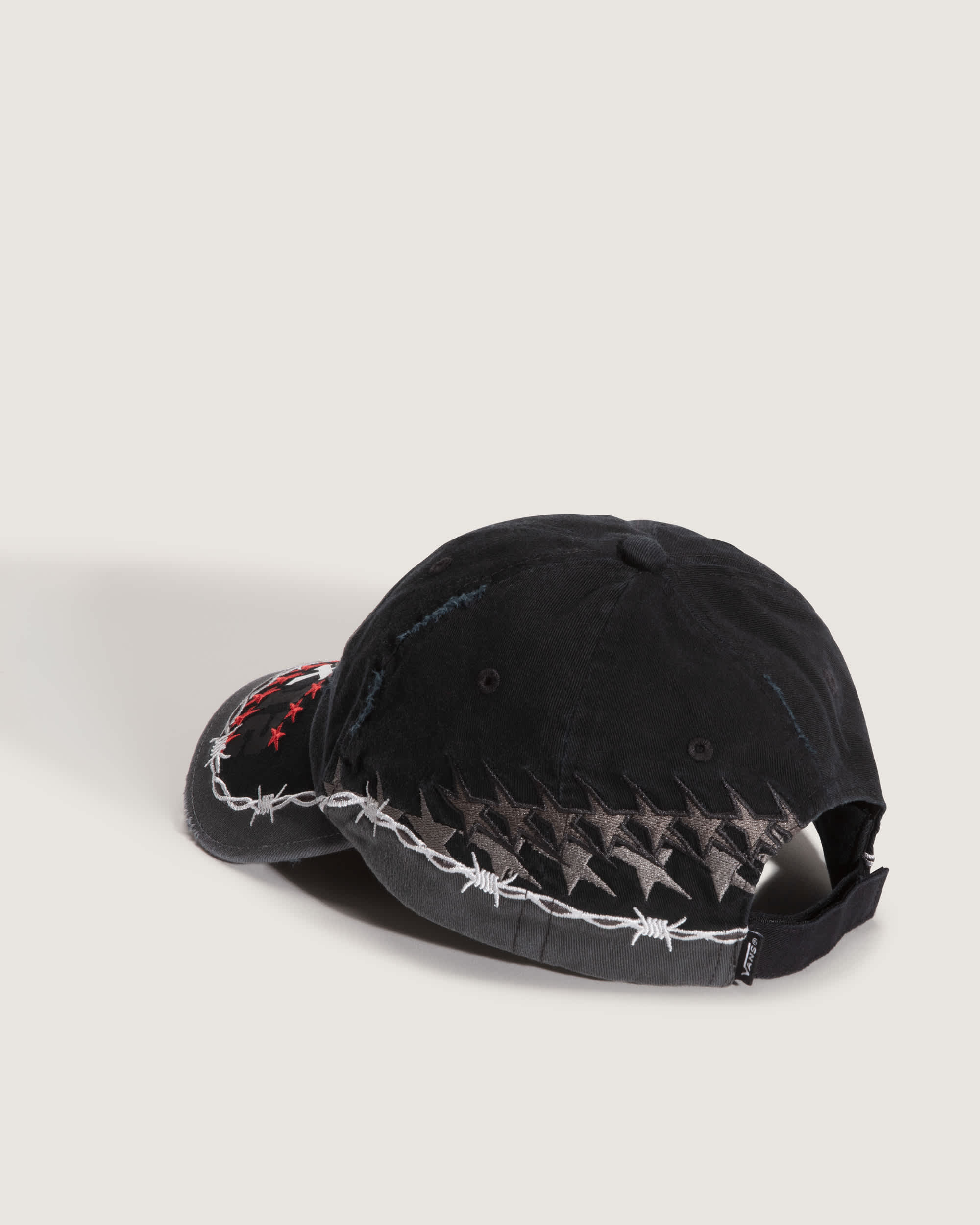 Act Of Disagreement Cap VANS Schwarz ALT1