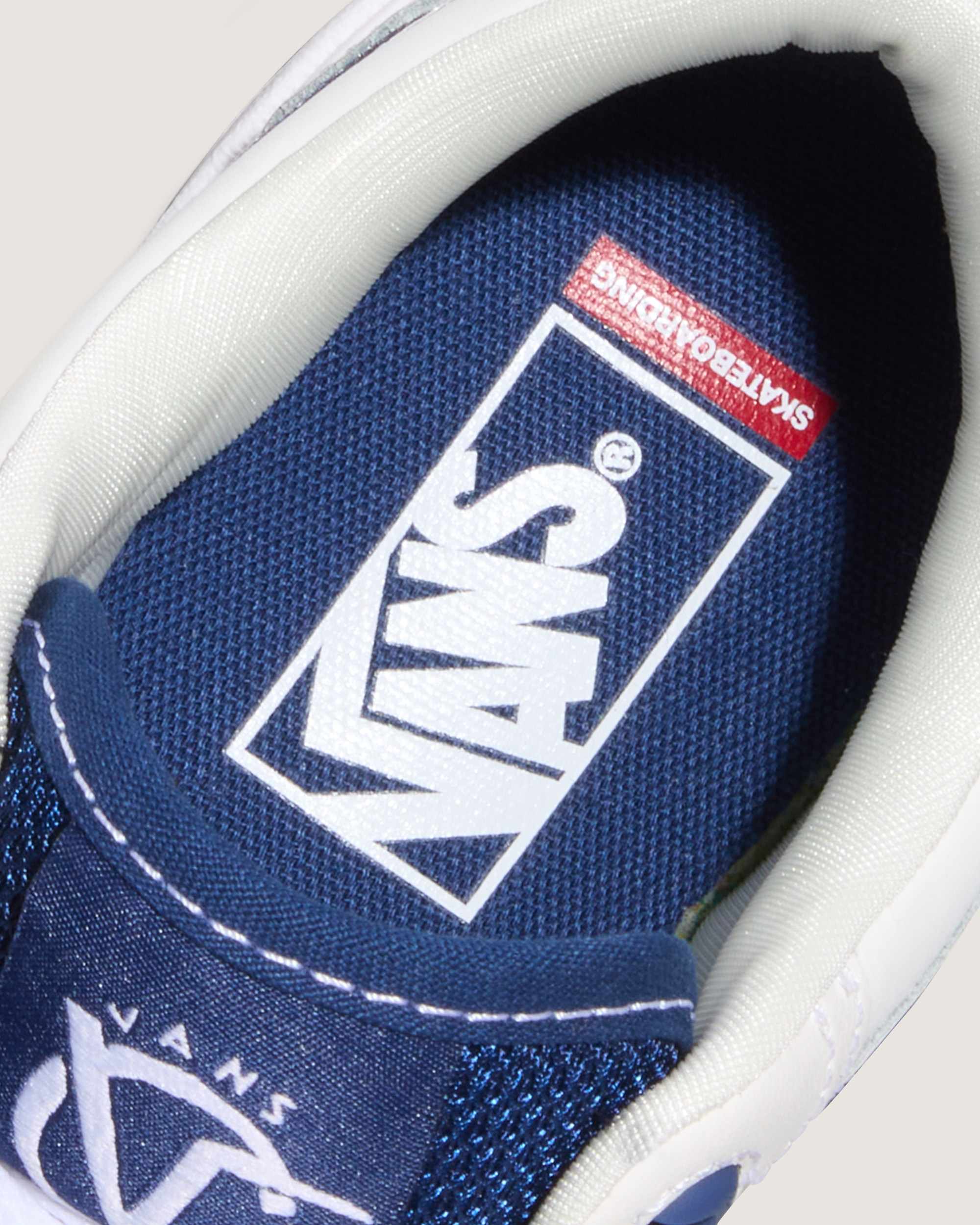 Skate Rowan 2 Shoes VANS White ALT6