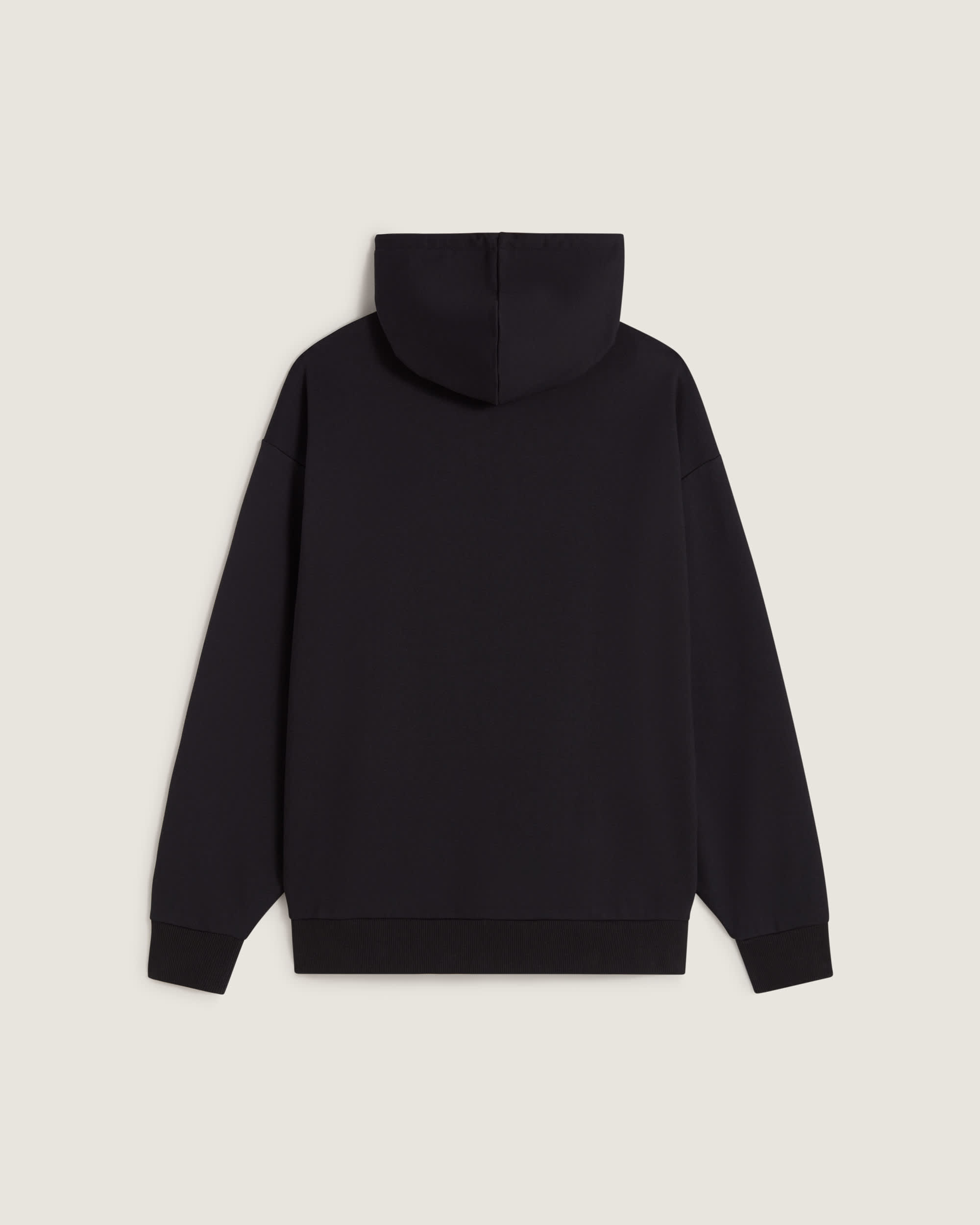 Souvenir Hoodie VANS Schwarz ALT1
