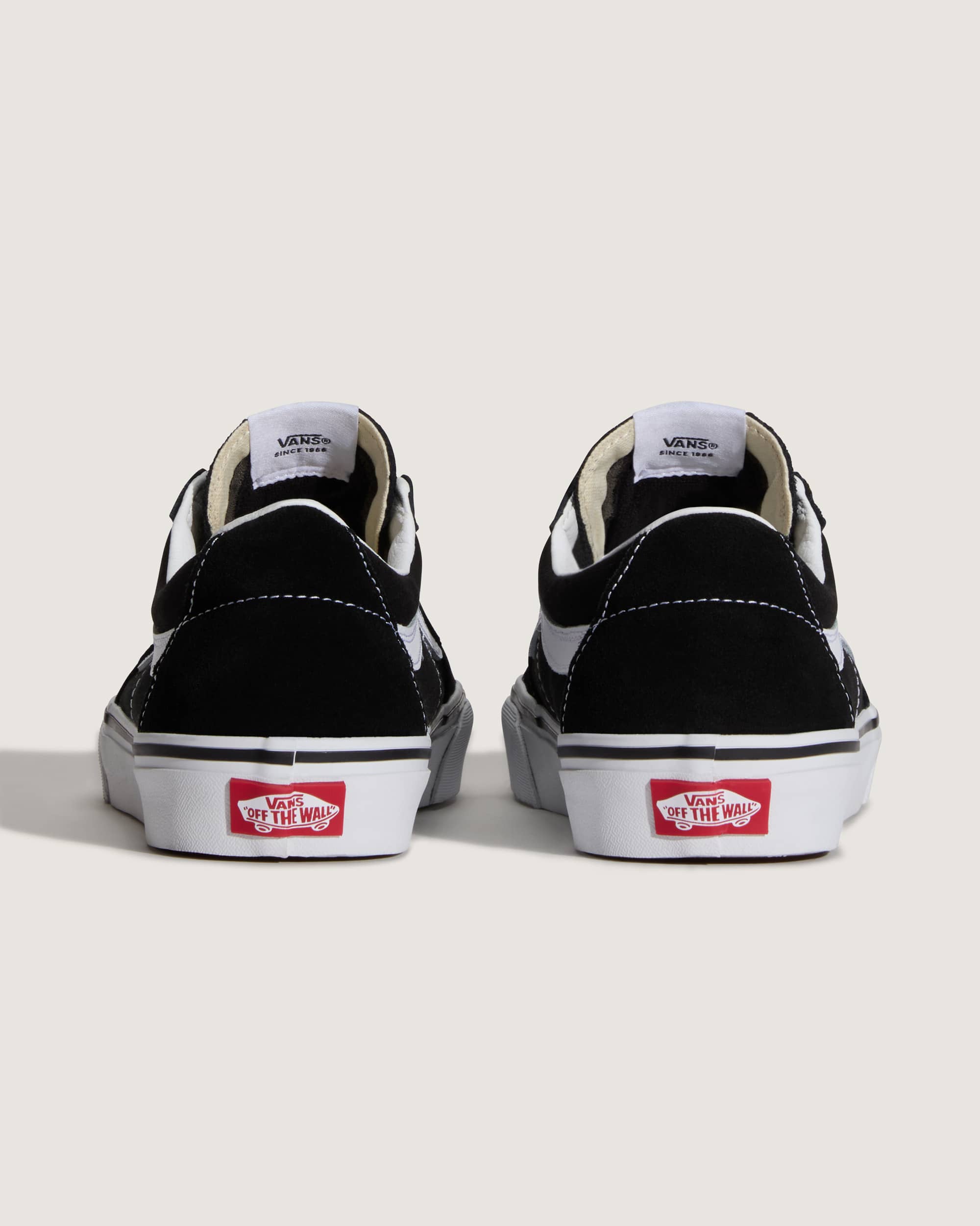 Chaussures Sk8Low VANS Noir ALT3