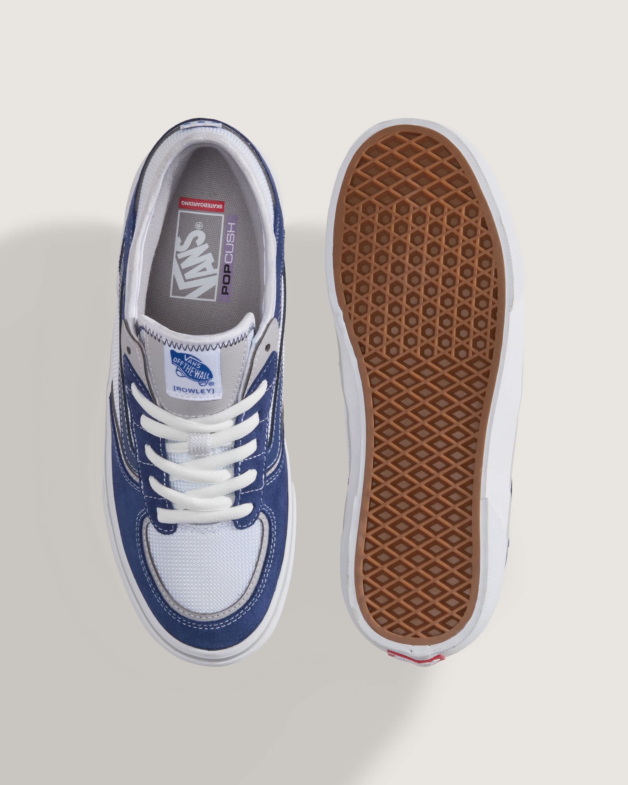 Skate Rowley Shoes VANS BlueWhite ALT2