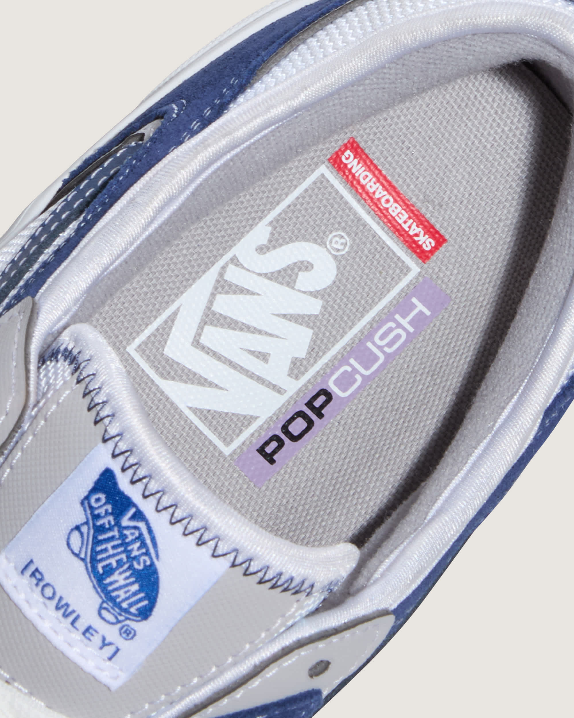 Skate Rowley Shoes VANS BlueWhite ALT6