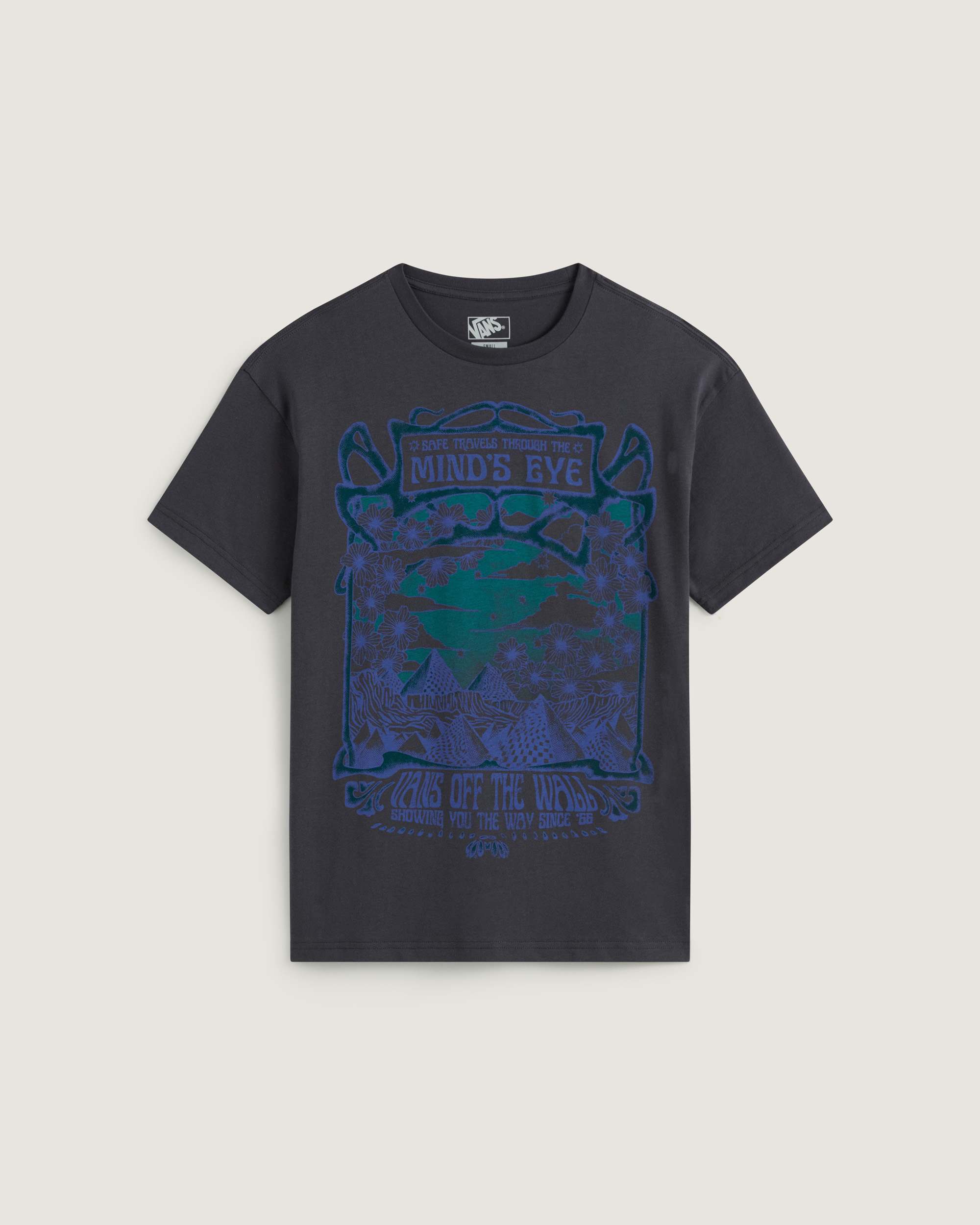 Minds Eye Oversized SS Tee Charcoal Grey VANS Grey HERO