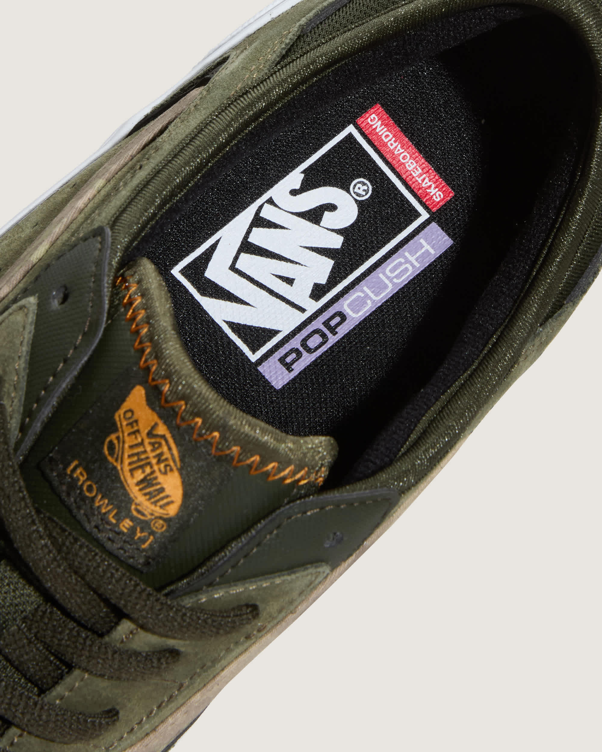 Skate Rowley Schoenen VANS Groen ALT4
