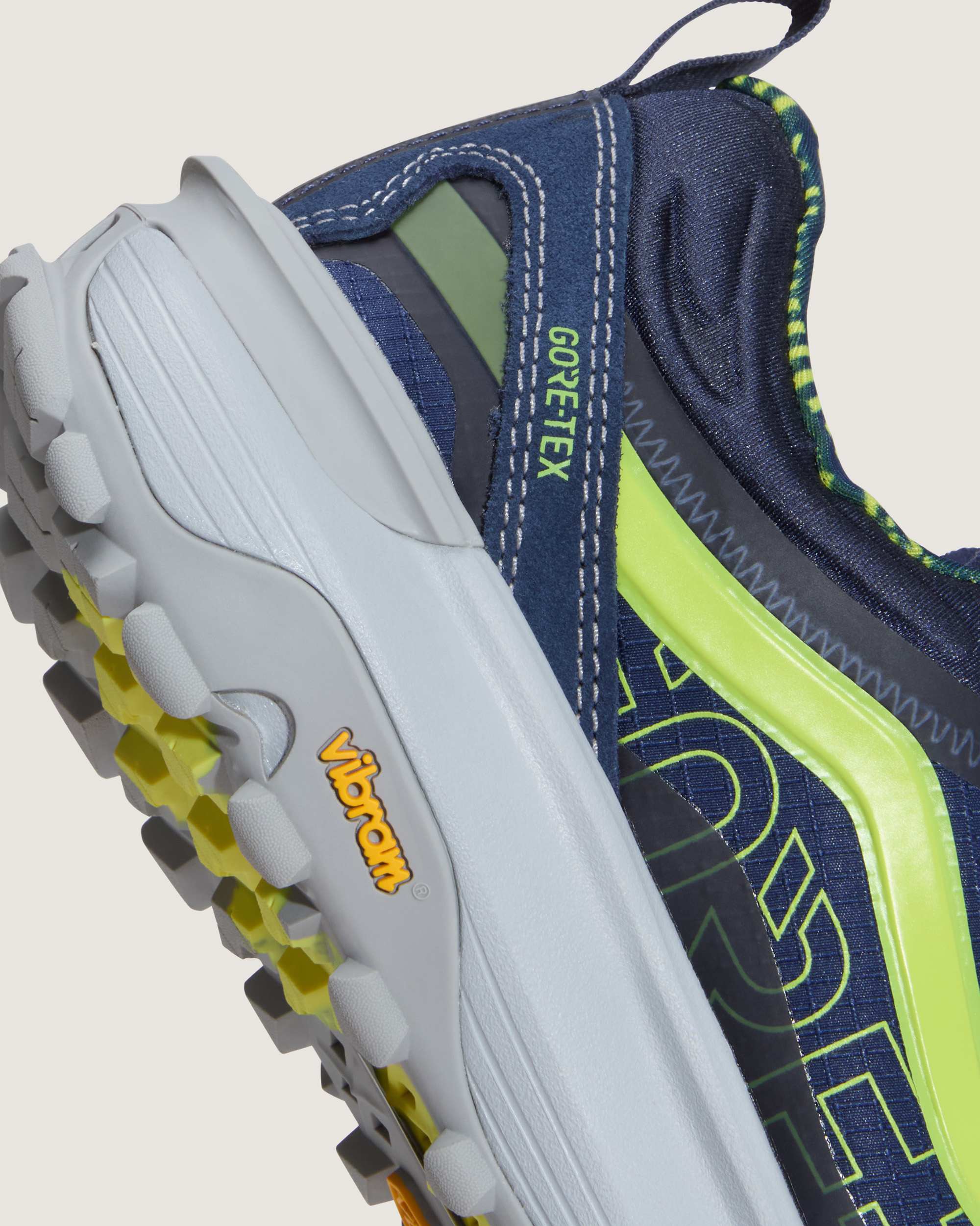 Crosspath XC GORETEX Shoes VANS Blue ALT9