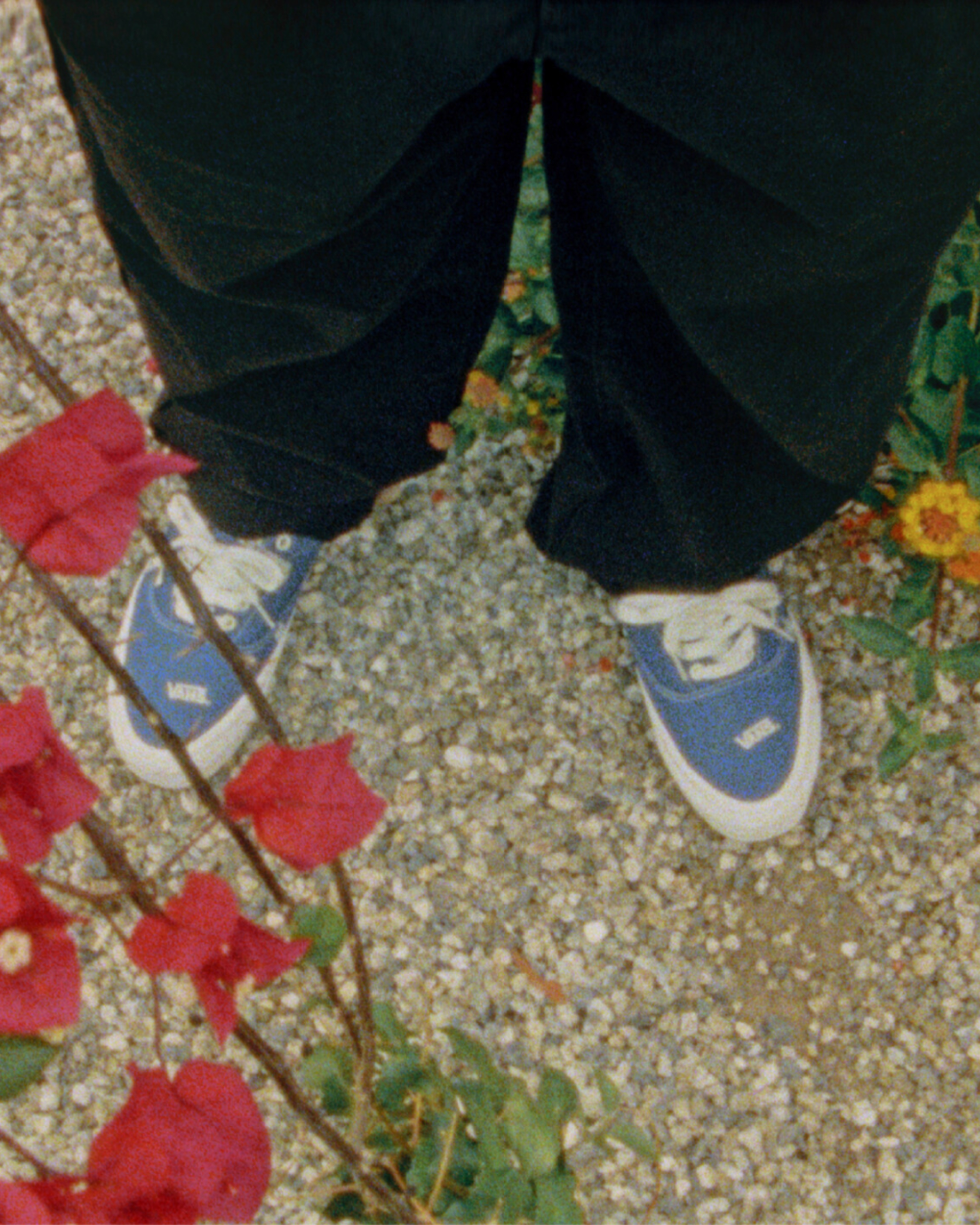 OTW Era 59 Schoenen VANS Blauw ALT1