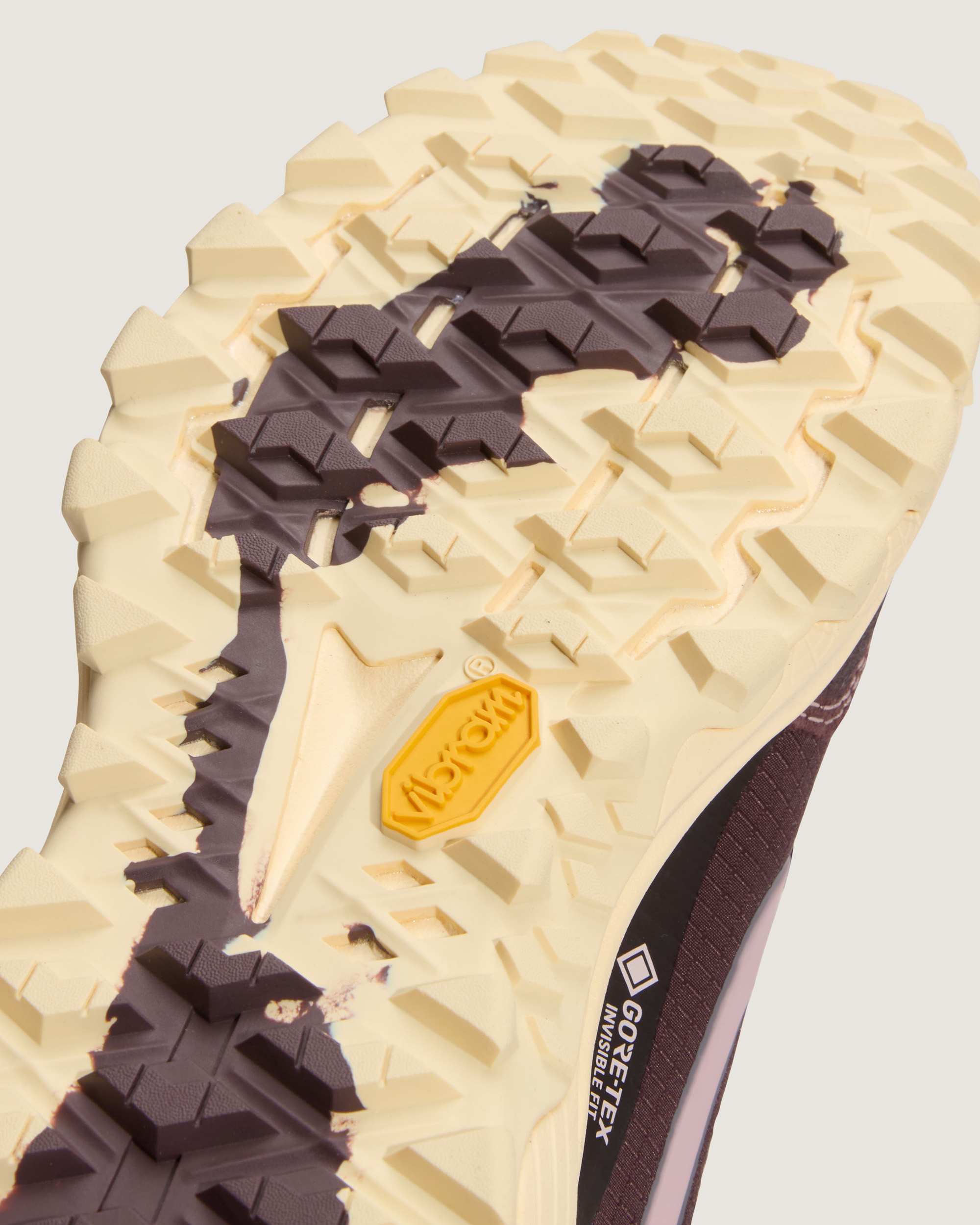 Crosspath XC GORETEX Shoes VANS Purple ALT6