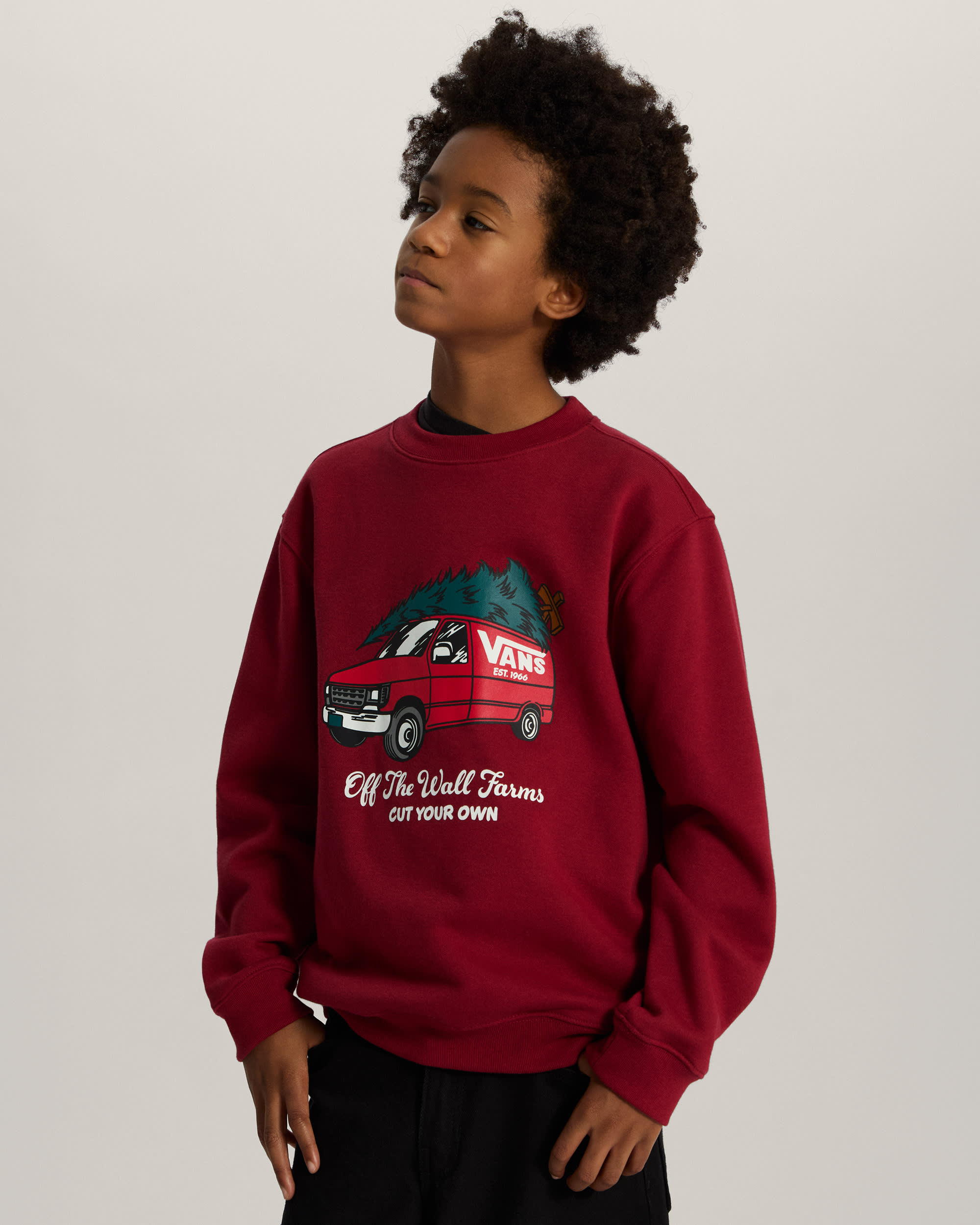 Kids Cut Your Own Crew Sweatshirt 814 years VANS Burgundy ALT2