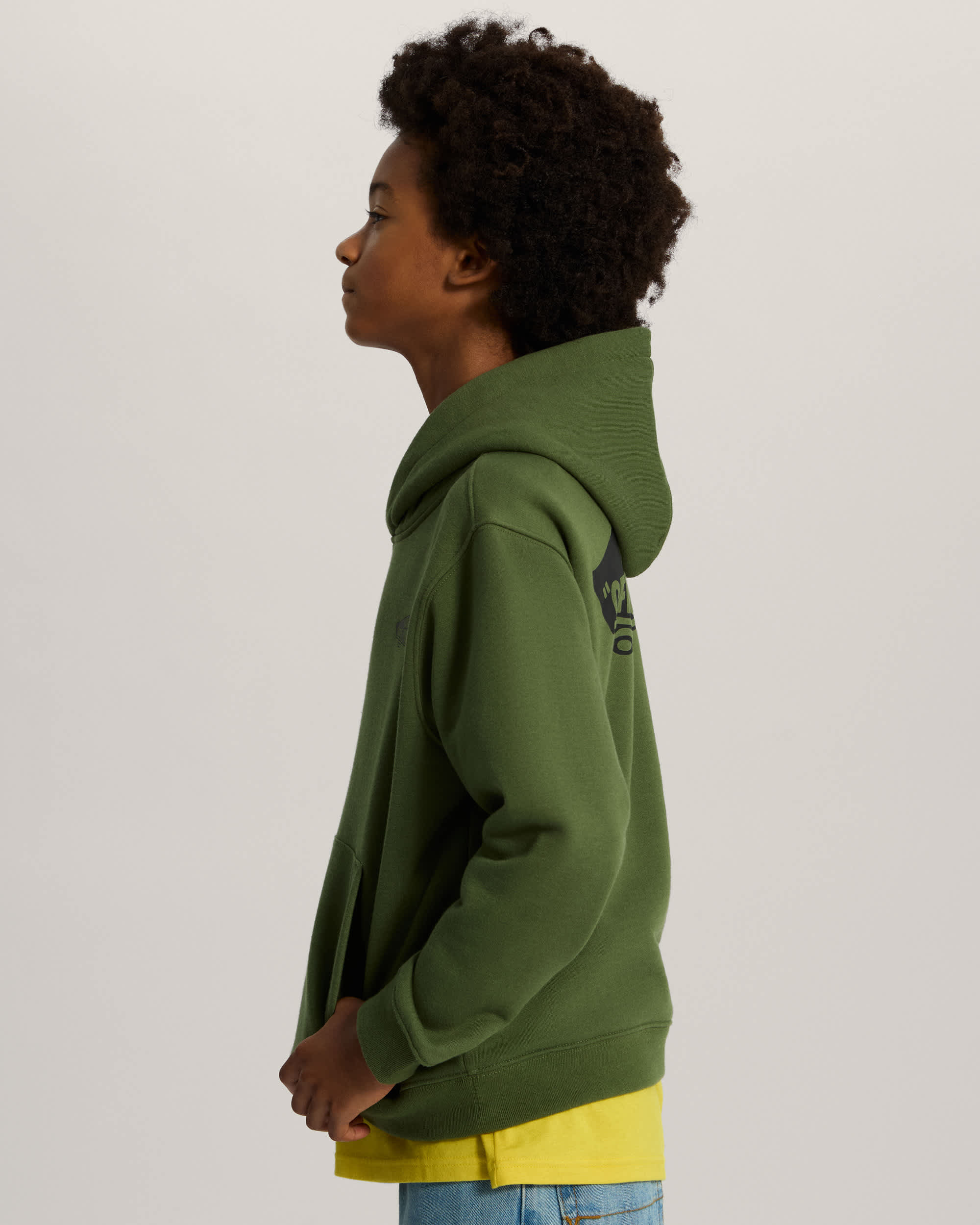 Double Standard Pullover Green Balsam VANS Verde ALT4