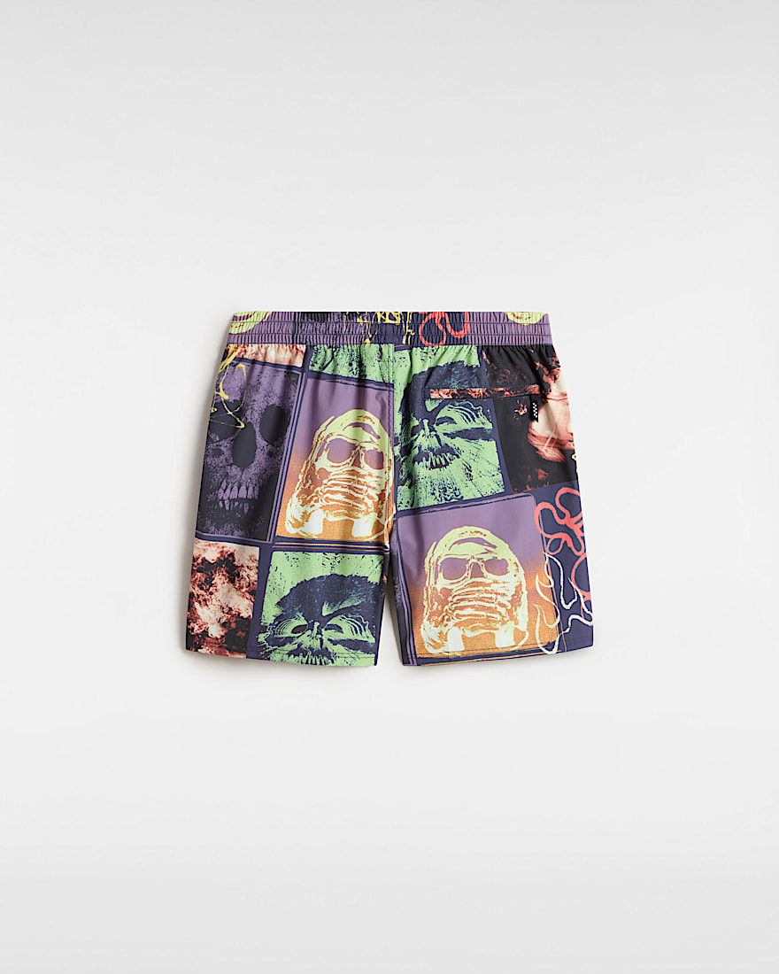 Primary Crazy Print Boardshorts VANS Blau ALT1