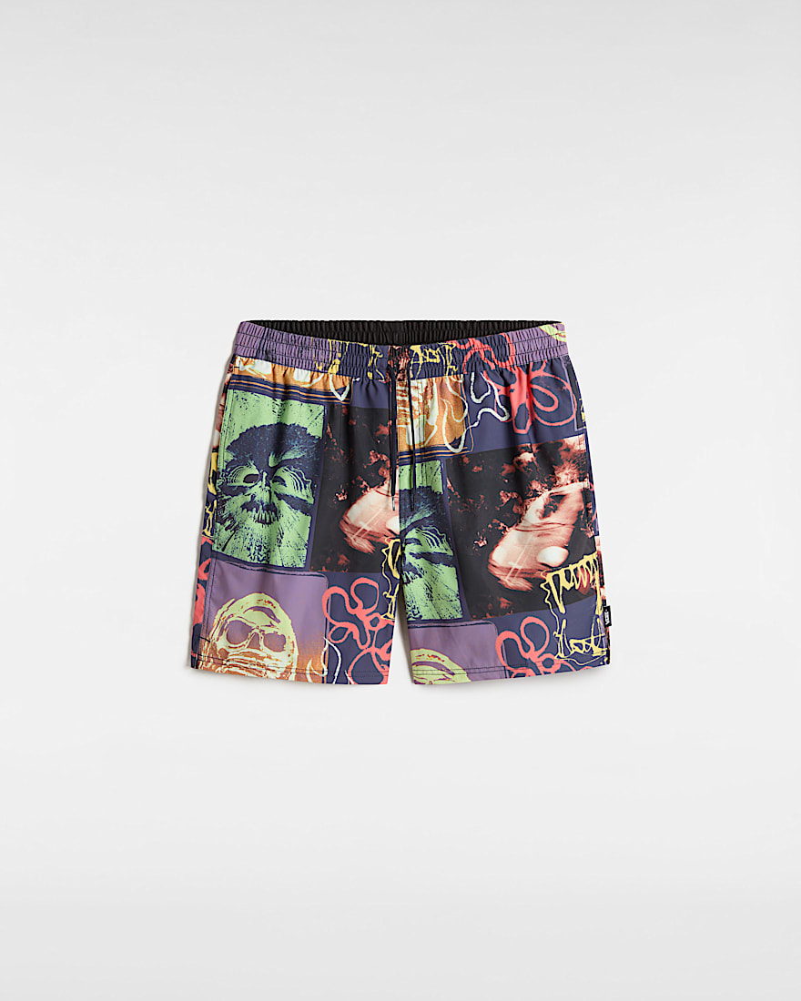 Primary Crazy Print Boardshorts VANS Blau HERO