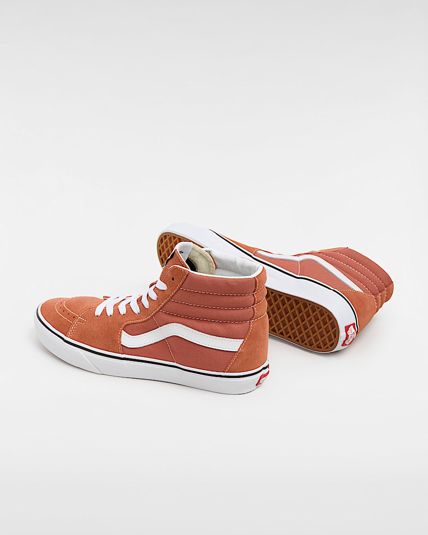 Color Theory Sk8-Hi Shoes