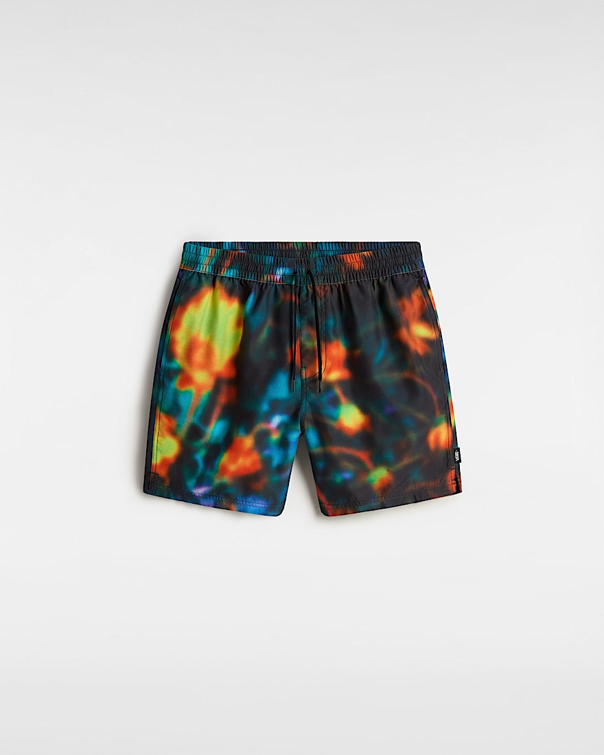 Primary Print Boardshorts VANS Schwarz HERO