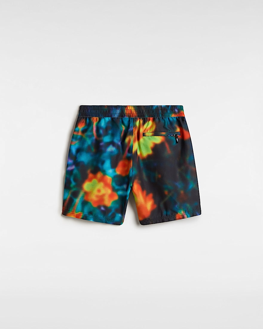 Primary Print Boardshorts VANS Schwarz ALT1