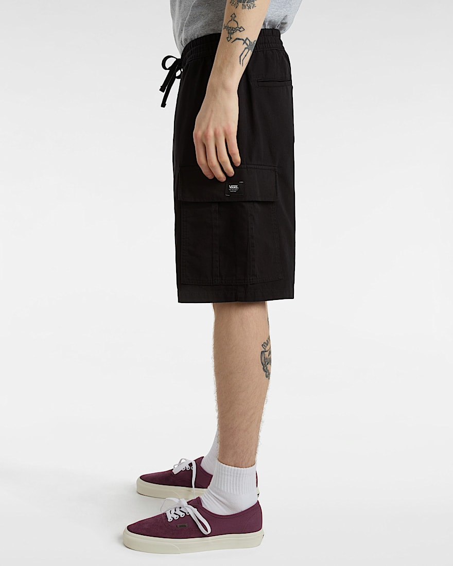 Range Cargoshorts VANS Schwarz ALT4