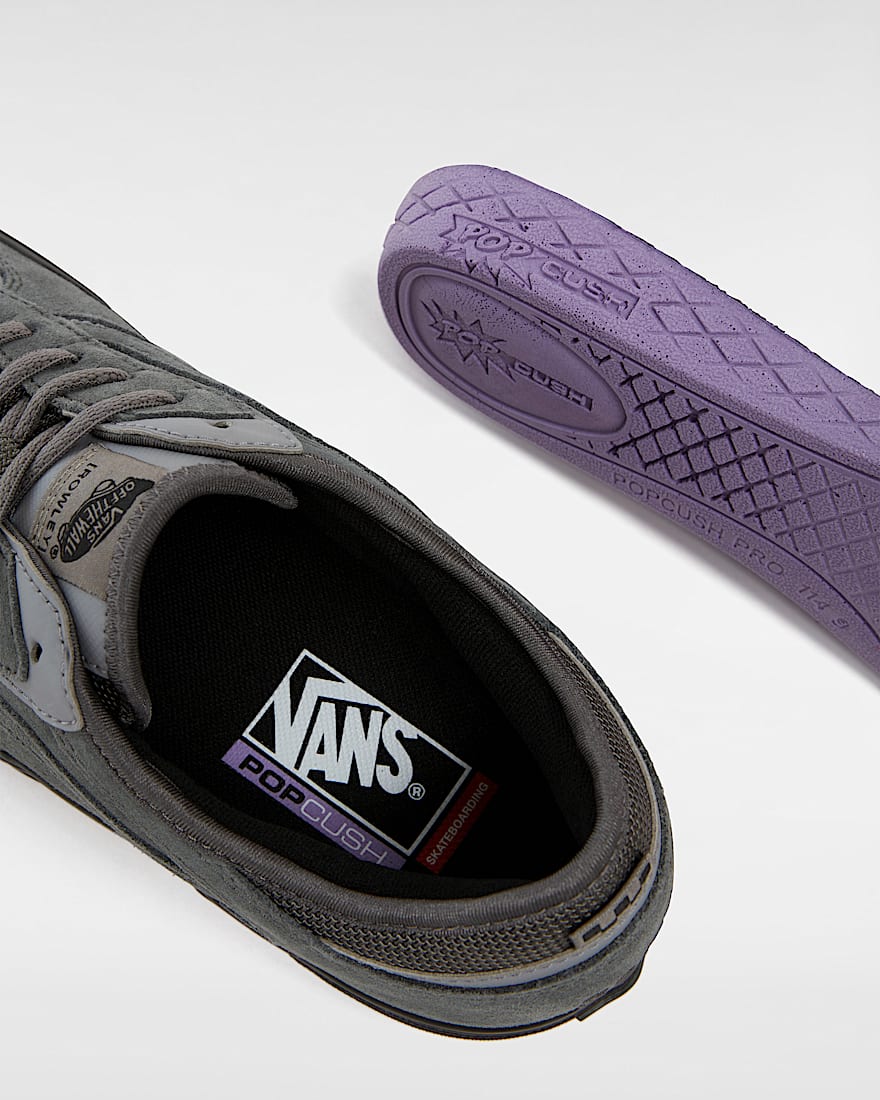 Skate Rowley Suede Shoes