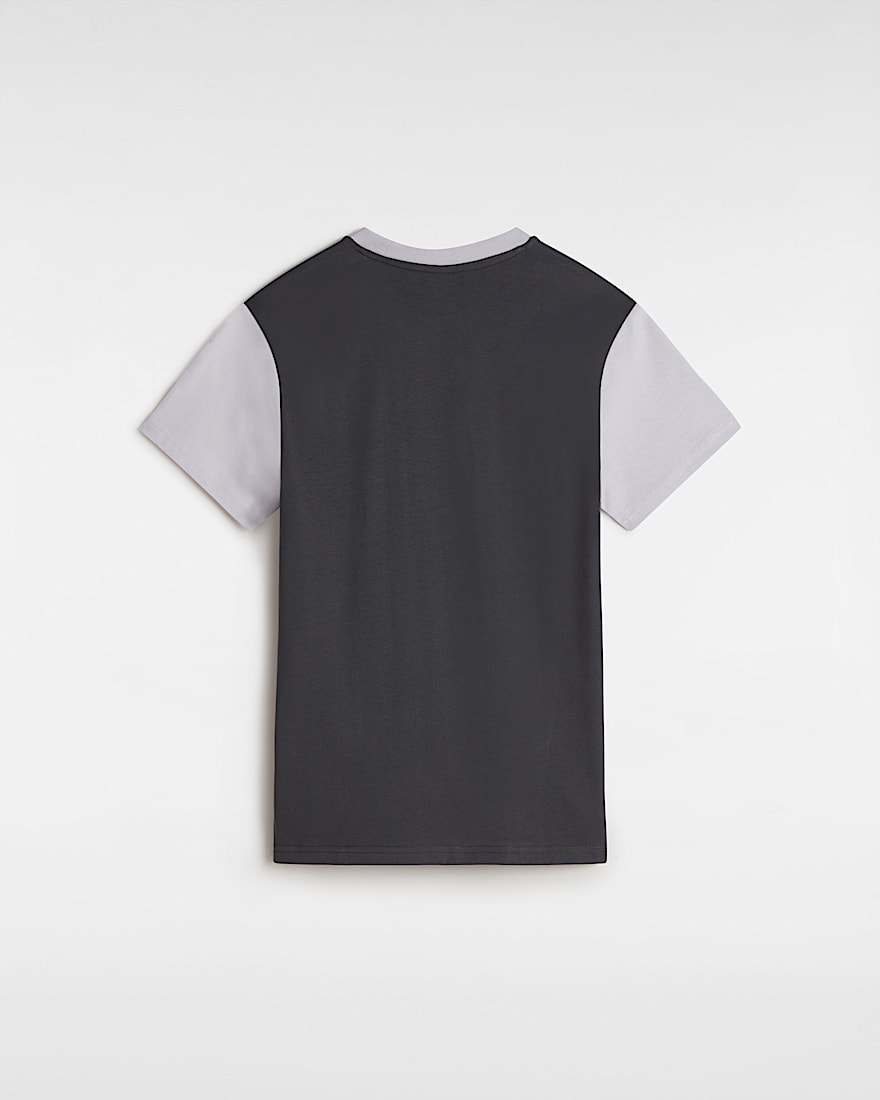 Colorblock TShirt VANS Grau ALT1