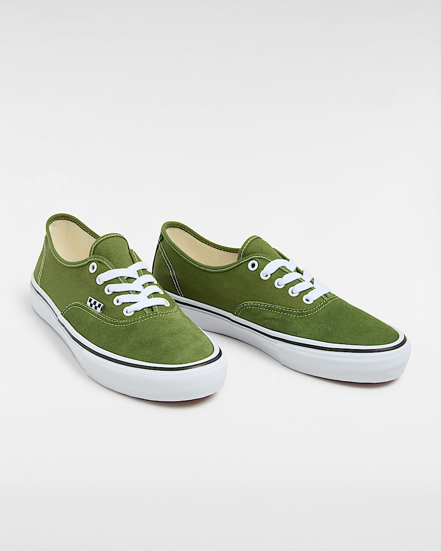 Skate Authentic Shoes
